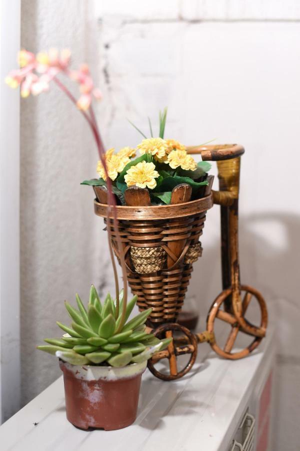 Apartment Karla Zadar Bagian luar foto